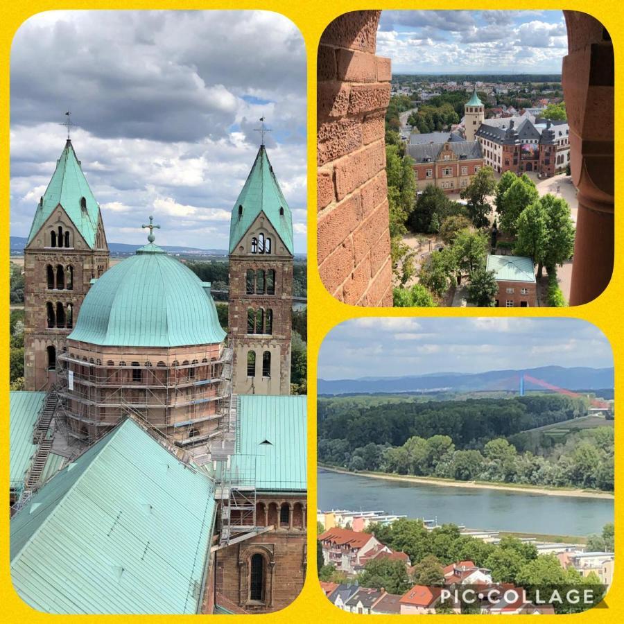 Willkommen In Unserem Kleinen Paradies Venningen Exterior foto